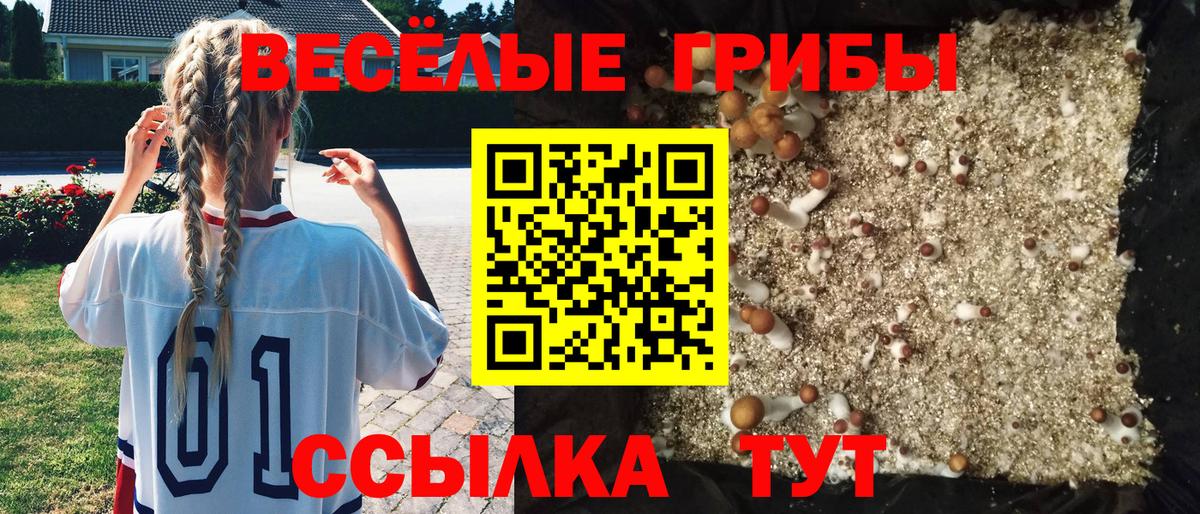 Псилоцибиновые грибы ЛСД  Галлюциногенные грибы мицелий  Вход с VPN  Славгород 